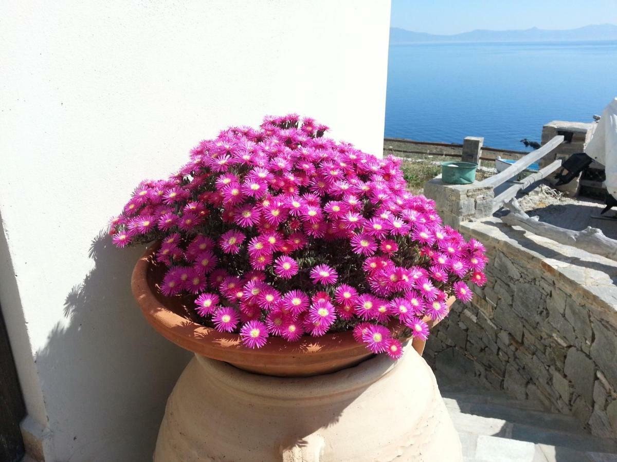 Aegean View - Seaside Apartment In Syros Azolimnos Exterior photo